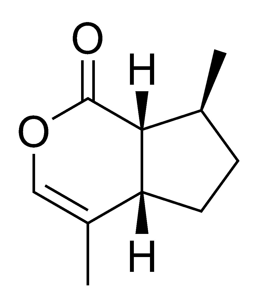 Chemical structure of the cat attractant nepetalactone