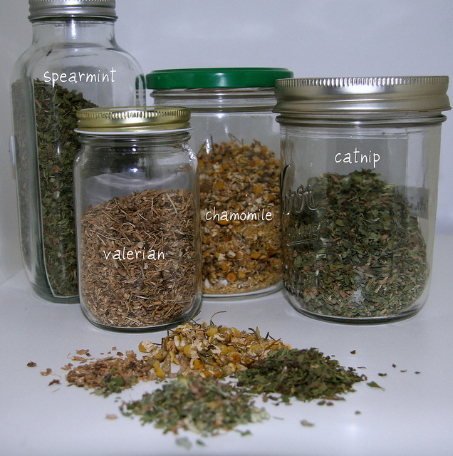 Jars with spearmint, valerian, chamomile, catnip